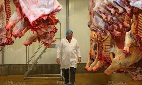 Pour qu'une loi oblige que tous les abattoirs de France soient contrôlés tous les jours