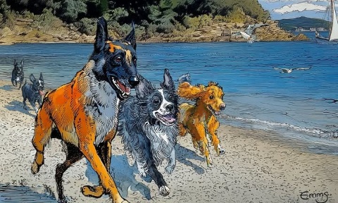 Améliorer la vie de nos toutous en ville