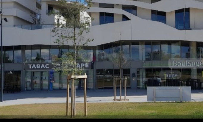 Pétition contre le projet de travaux d’aménagement rue du Mas de Verchant (quartier Eurêka)