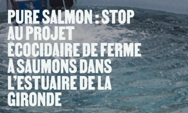 Non au projet d’élevage intensif de saumons par Pure Salmon !!!