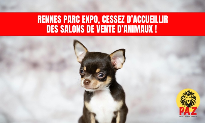 Rennes Parc Expo / Groupe Pigeault : Stop au salon du chiot et du chaton !