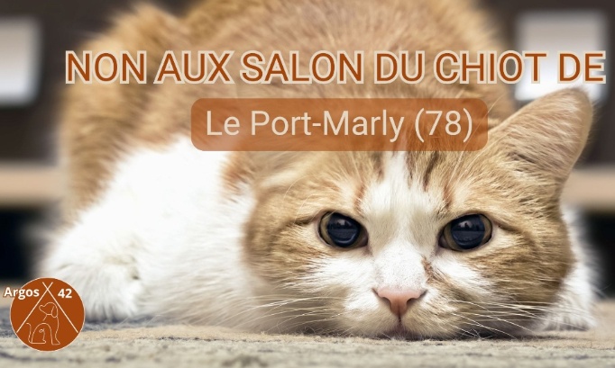 Stop aux salons du chiot à  Port-Marly (78)