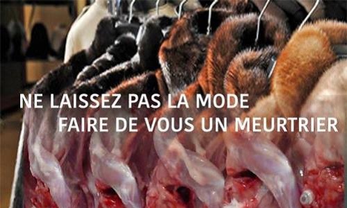 Dépot vente luxe - Stop aux bijoux de sacs en vison, renard, etc.