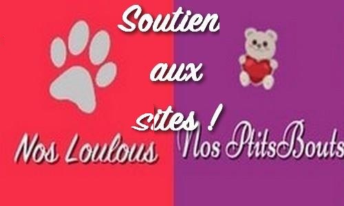 Soutien aux sites