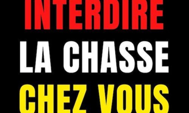 Pour la sécurité en forêt : Vers une remise en question de la période de chasse et de la chasse à courre