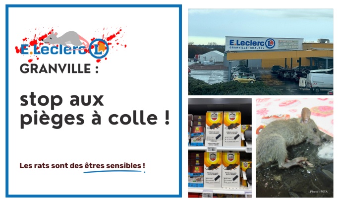 E.Leclerc Granville : stop aux pièges à colle
