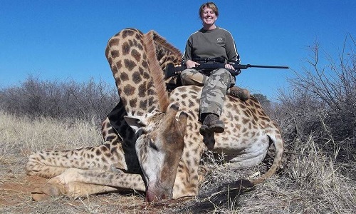 Stop au braconnage des girafes !