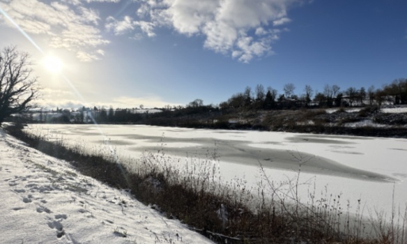 Pour sauver l’étang du Vitou et protéger ses espèces menacées