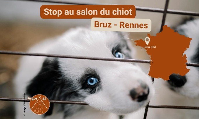 Non au salon du chiot de Bruz (Rennes)
