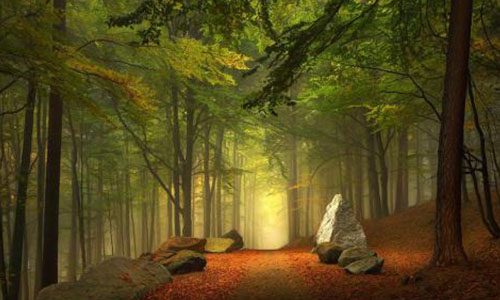 Stop aux particules fines