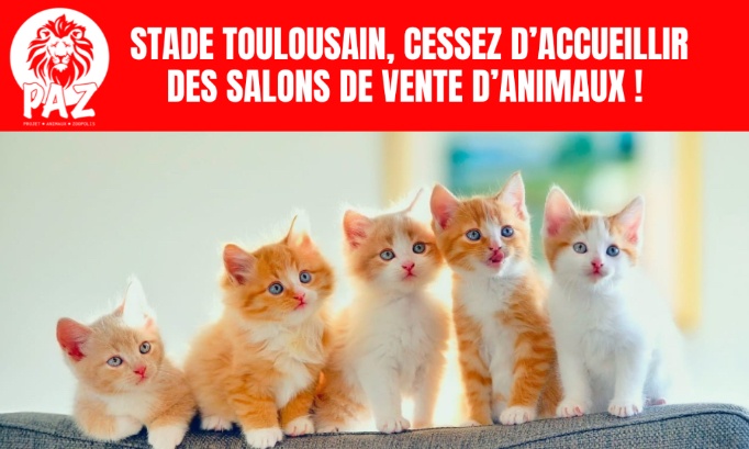 Stade Toulousain : cessez d'accueillir des salons animaliers