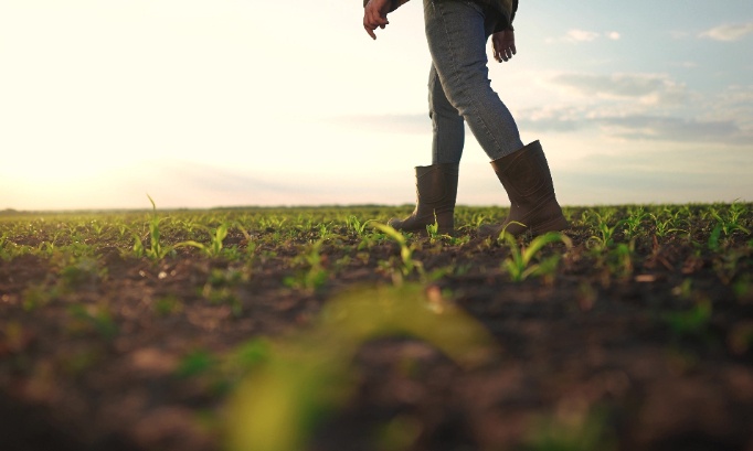 Pour la destitution immédiate d'Arnaud Rousseau de la présidence de la FNSEA