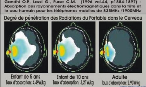 Accélérer les recherches sur les ondes électromagnétiques et la santé.