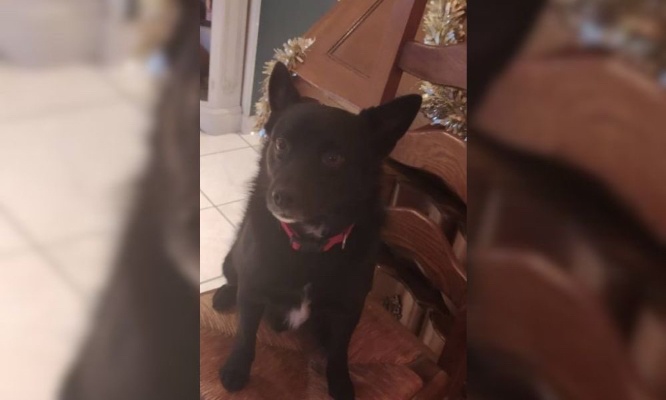 Aidez nous à retrouver NOUBA