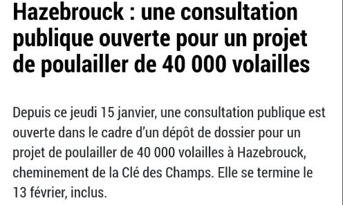 Stop au poulailler industriel de 40 000 volailles à Hazebrouck