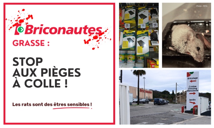 Stop à la cruauté animale au Briconautes Grasse