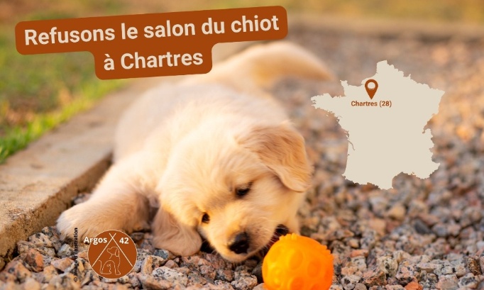 Non au salon du chiot de Chartres