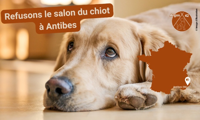 Contre l’organisation d’un salon du chiot au Palais des Congrès Antipolis – Antibes