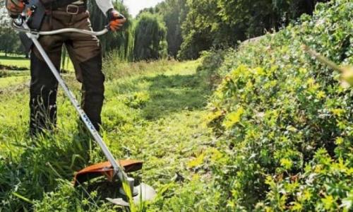 Abrogation et/ou modification de l'article L 131.12 du Code forestier sur le débroussaillage.