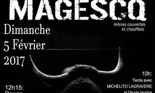 Magescq - Arrêtez la barbarie taurine immédiatement