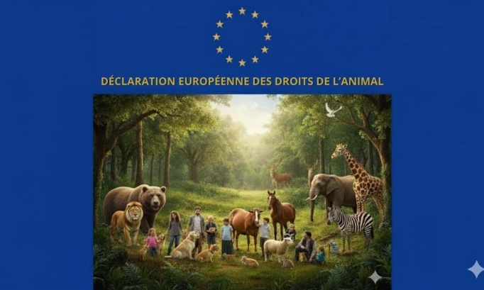 Pour un cadre juridique général plus favorable aux animaux et à ceux qui les protègent
