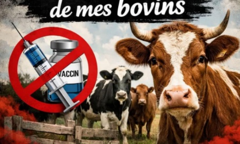 Sauvons nos élevages des abattages et des vaccins arn !