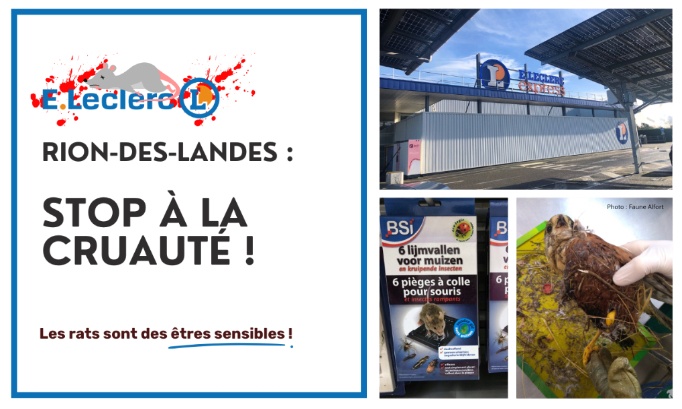 Stop à la cruauté animale au E.Leclerc Express de Rion-des-Landes