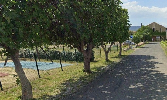 Sauvons les figuiers de la rue des figuiers