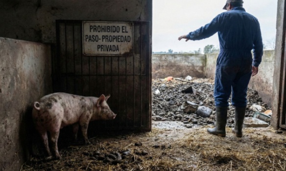 Fermez immédiatement la ferme d'horreur dans la province de Buenos Aires