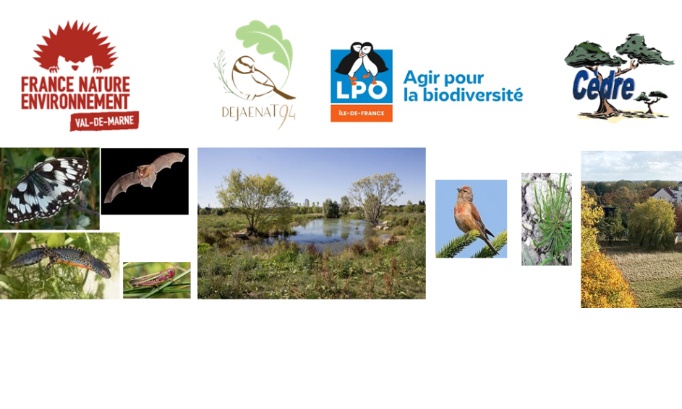 Non aux 620 logements à l’orée de l'espace naturel sensible de la Plaine des Bordes à Chennevières(94)