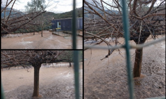 Pour l'aménagement d'urgence de la cour d'école de mon fils