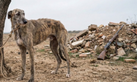 Le 1er février était le 
