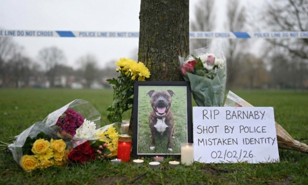 Police métropolitaine : vous avez exécuté un animal de compagnie innocent. justice pour 