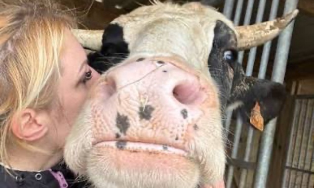 Pour autoriser un second test pour Petit Bouchon suite à sa décision d’euthanasie