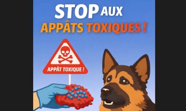 Pour la protection des animaux domestiques et l’action contre l’empoisonnement criminel