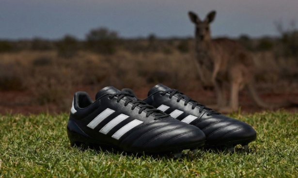 Arrêtez de transformer les kangourous en chaussures de football : interdisez le K-Leather maintenant !