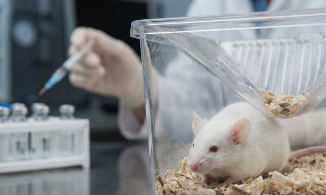 En finir avec les tests LD50 sur les souris pour un visage sans rides !