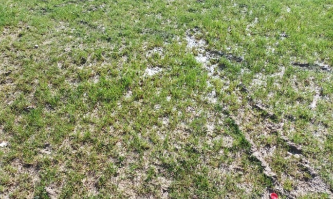 Pour la création d’un terrain synthétique à Gratentour