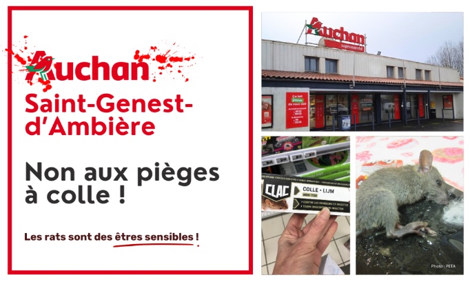 Auchan Saint-Genest-d’Ambière (86) : non aux pièges à colle