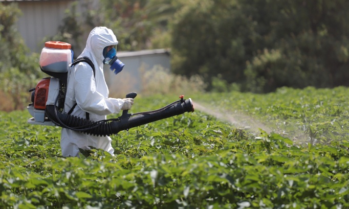 Disparition rapide de tous les engrais et pesticides nocifs à la faune et à la flore.