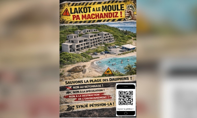 Sauvons la plage des dauphins (LE MOULE - Guadeloupe)