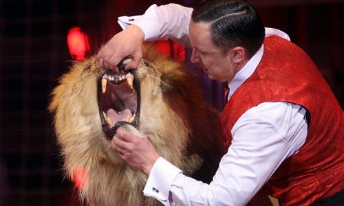 Le cirque de l'infamie à Mougins pendant 9 jours