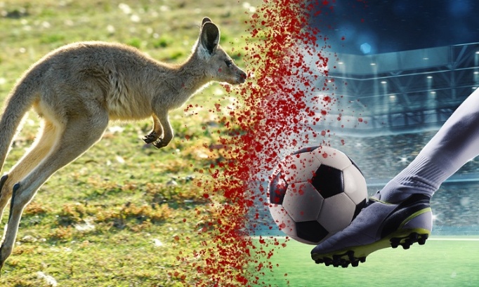 Stop aux chaussures de foot en peau de kangourou