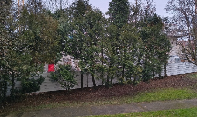 Pour préserver la végétation : protégez nos espaces verts maintenant