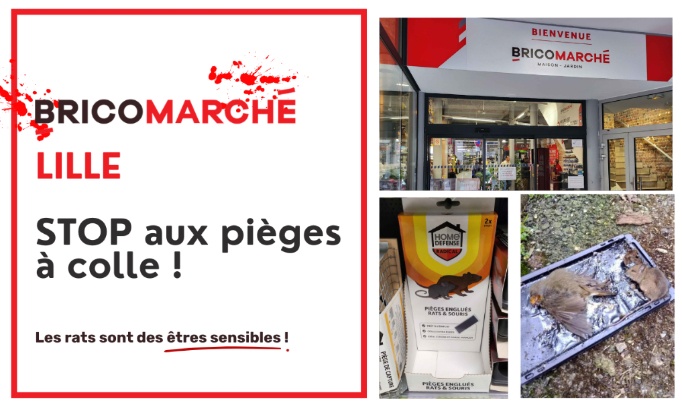 Stop à la cruauté animale au Bricomarché Lille