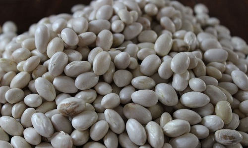 Laissez-nous être payés à la tâche pour les cocos de Paimpol