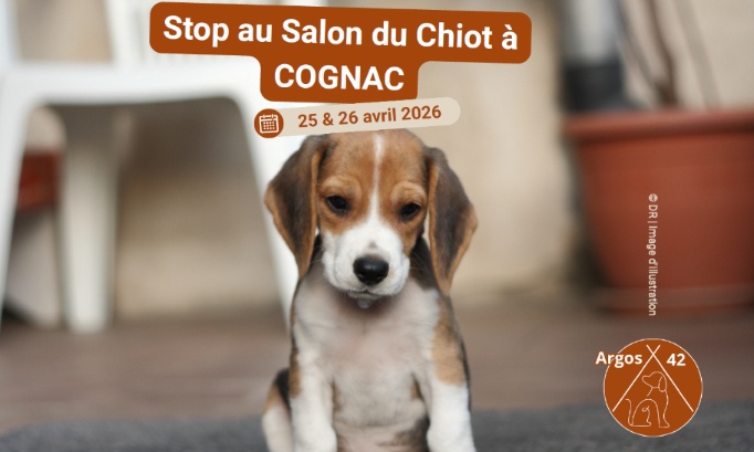 Stop au salon du chiot à Cognac