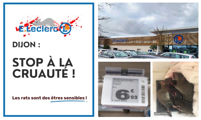 Stop à la cruauté animale au E.Leclerc de Dijon