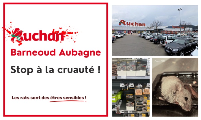 Stop à la cruauté animale au Auchan Barneoud Aubagne
