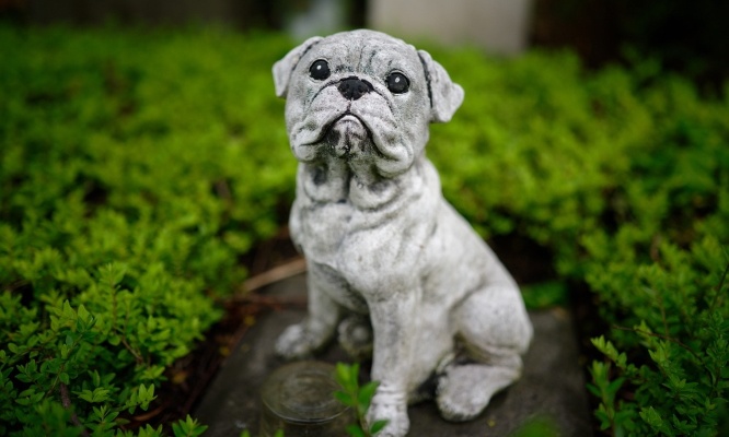 Pour autoriser l’urne de mon animal dans mon caveau familial